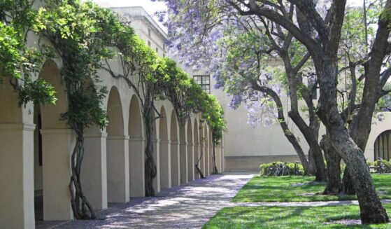 Wisteria growing over the arched walkways at California Institute of Technology with a jacaranda tree.