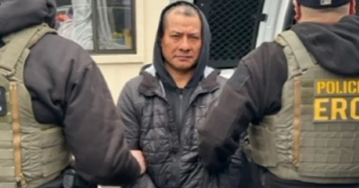 New Yorkers Cheer as ICE Rounds up Same Criminal Illegals Democrats Defend to the Death