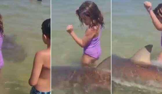 A shark swam between two children in a video reportedly taken just moments before a snorkeler was fatally attacked.