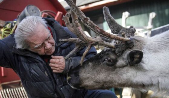 Albert Whitehead of Anchorage, Alaska, and Star the Reindeer before the animal was euthanized on April 1, 2025, following mysterious circumstances.