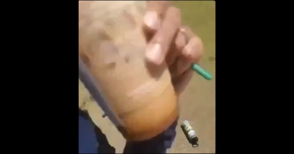 After FSU Shooter Is Captured Alive, Public Fury Turns to Woman Who Casually Sipped Starbucks While Filming Victim