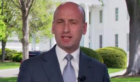 White House Chief of Staff Stephen Miller raised an interesting point about reparations for law-abiding American citizens.