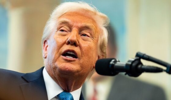 "Sounds like a good idea to me," President Donald Trump told a reporter who asked him about a "baby bonus" plan Tuesday.