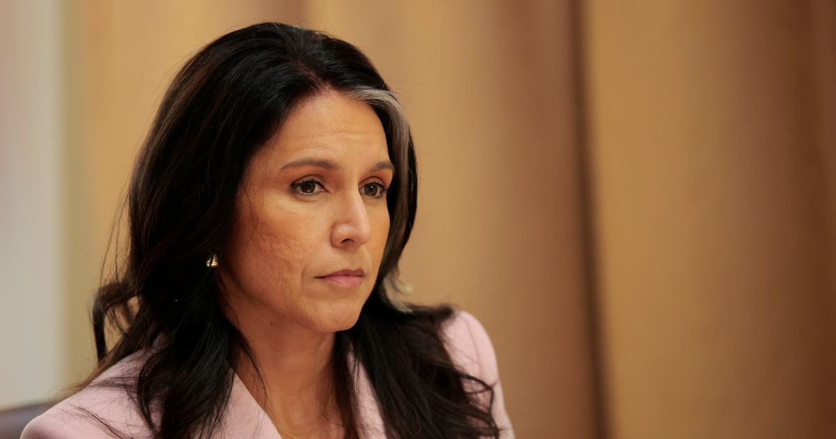 Watch: Tulsi Gabbard Confirms the Biggest Election Fraud Claim in History at Trump Cabinet Meeting