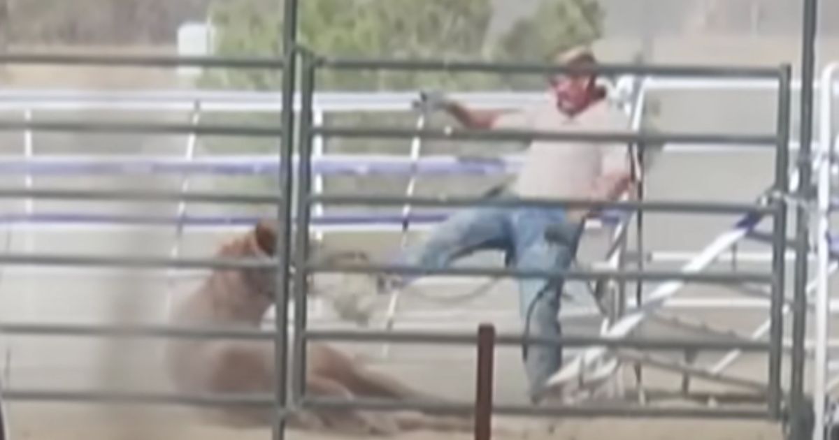 Veterinarian Found Dead After Going Viral for Abusing Horse on Video